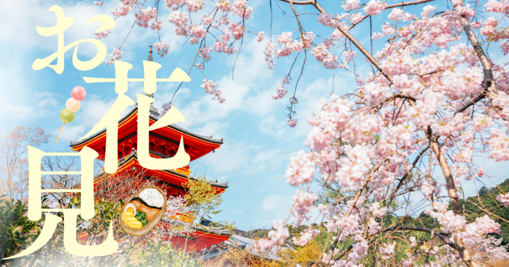 Japan Cherry Blossom Guide